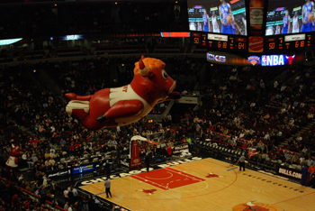 Bulls Game photo